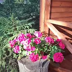 Hébergement de vacances Mazurska Sielanka Na Wiartlu