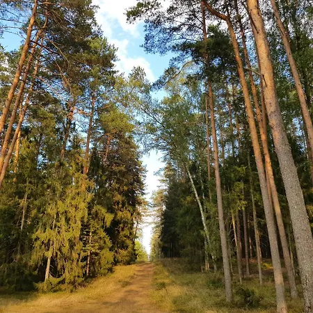 Mazurska Sielanka Na Wiartlu Сasa de vacaciones *