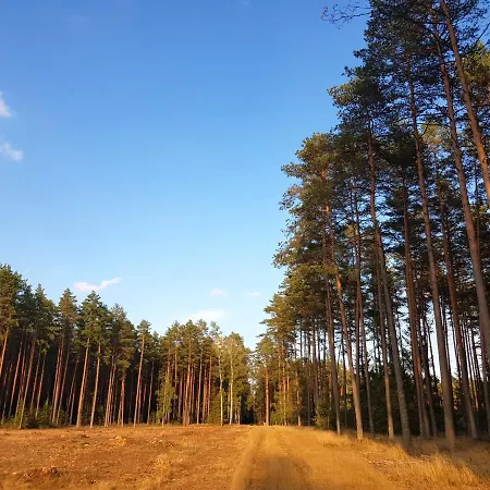 Mazurska Sielanka Na Wiartlu Сasa de vacaciones *