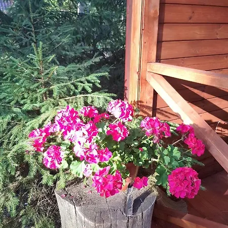 Tatil Evi Mazurska Sielanka Na Wiartlu