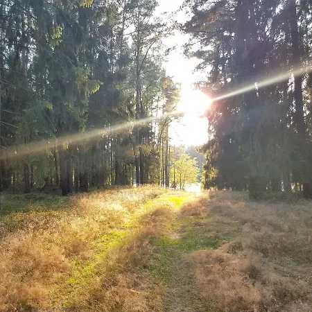 Mazurska Sielanka Na Wiartlu *