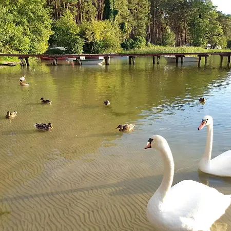 Сasa de vacaciones Mazurska Sielanka Na Wiartlu *
