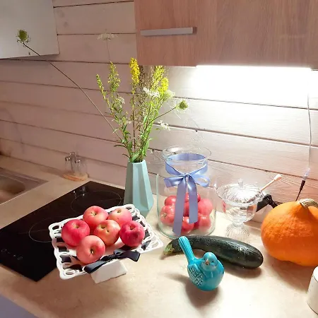 Mazurska Sielanka Na Wiartlu Pisz