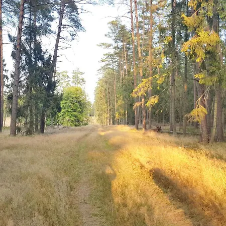 Tatil Evi Mazurska Sielanka Na Wiartlu *
